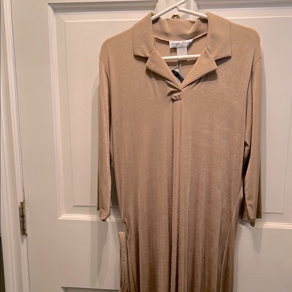 SALE! Carolyn Strauss Tan 3/4 -Sleeve Dress